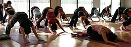 yoga Montreal - Yogaspace Yoga Studio